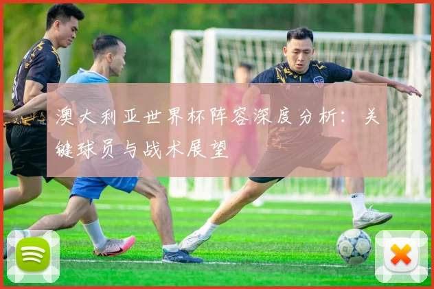 澳大利亚世界杯阵容深度分析：关键球员与战术展望