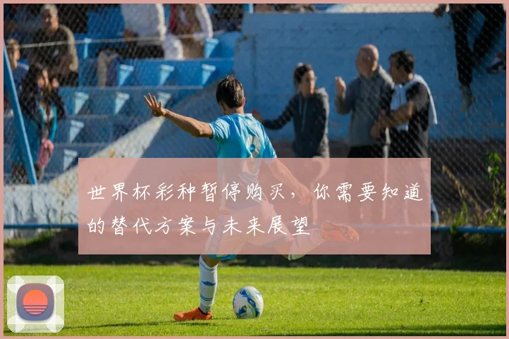世界杯彩种暂停购买,你需要知道的替代方案与未来展望