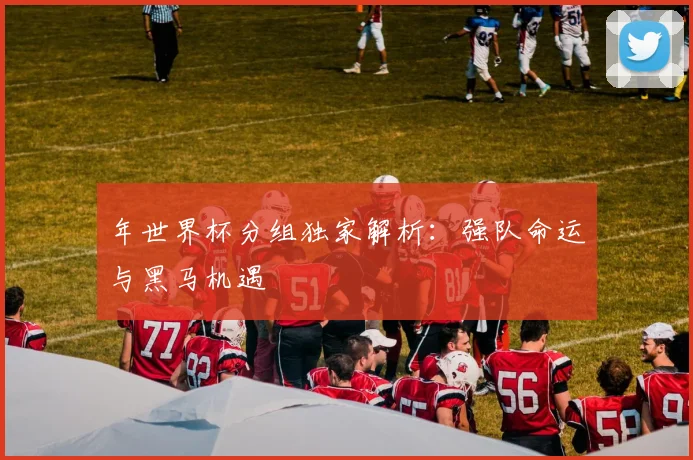 年世界杯分组独家解析：强队命运与黑马机遇