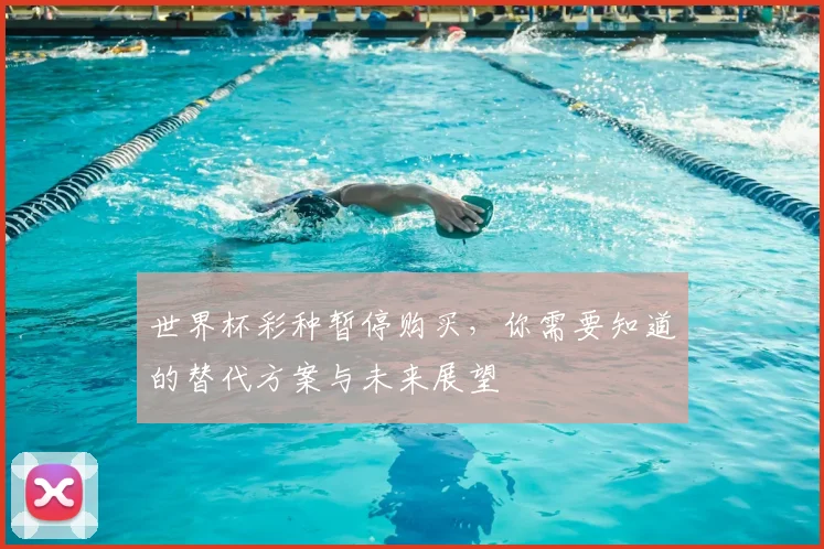 世界杯彩种暂停购买,你需要知道的替代方案与未来展望