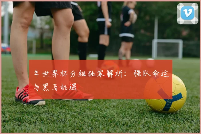 年世界杯分组独家解析：强队命运与黑马机遇