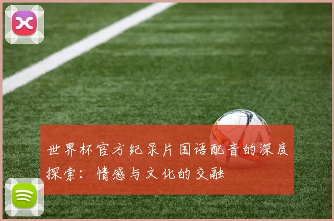 世界杯官方纪录片国语配音的深度探索：情感与文化的交融