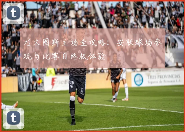 尤文图斯主场全攻略:安联球场参观与比赛日终极体验