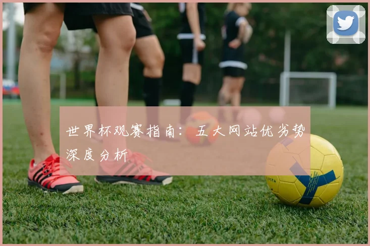 世界杯观赛指南：五大网站优劣势深度分析