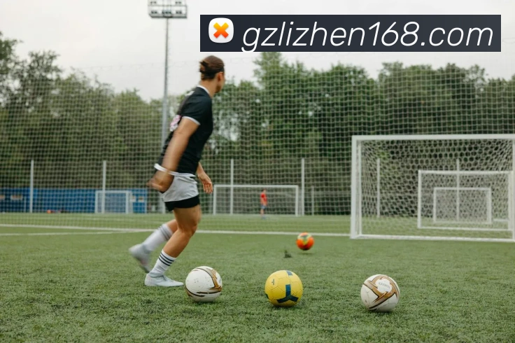 hth体育官网登录入口网址平台生态图