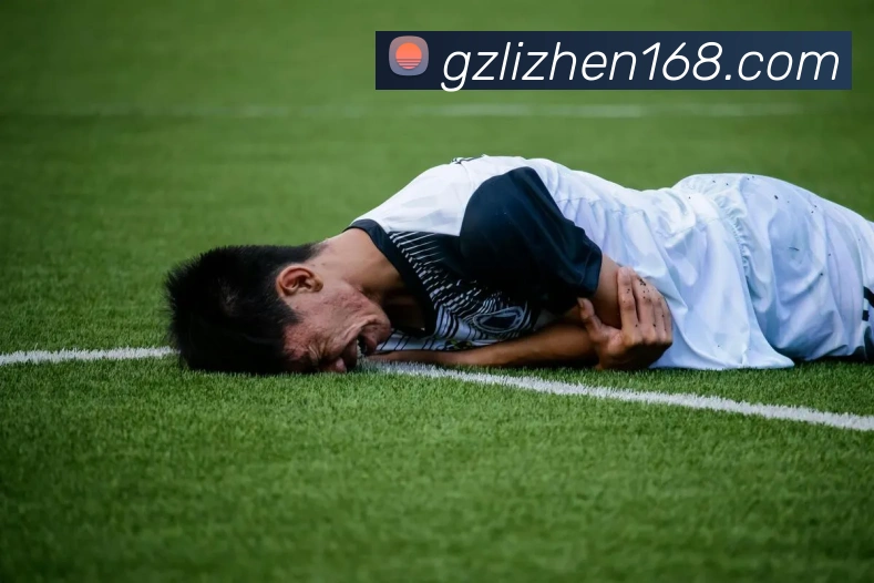 hth体育官网登录入口网址全站App